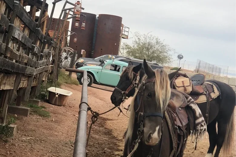 Horse at Goldfield Ghost Town, Apache Junction AZ