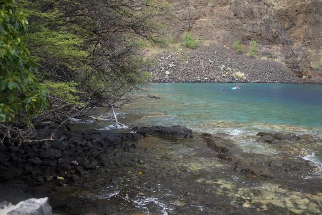 Coral reefs at Kealakekua Bay, Big Island Hawaii