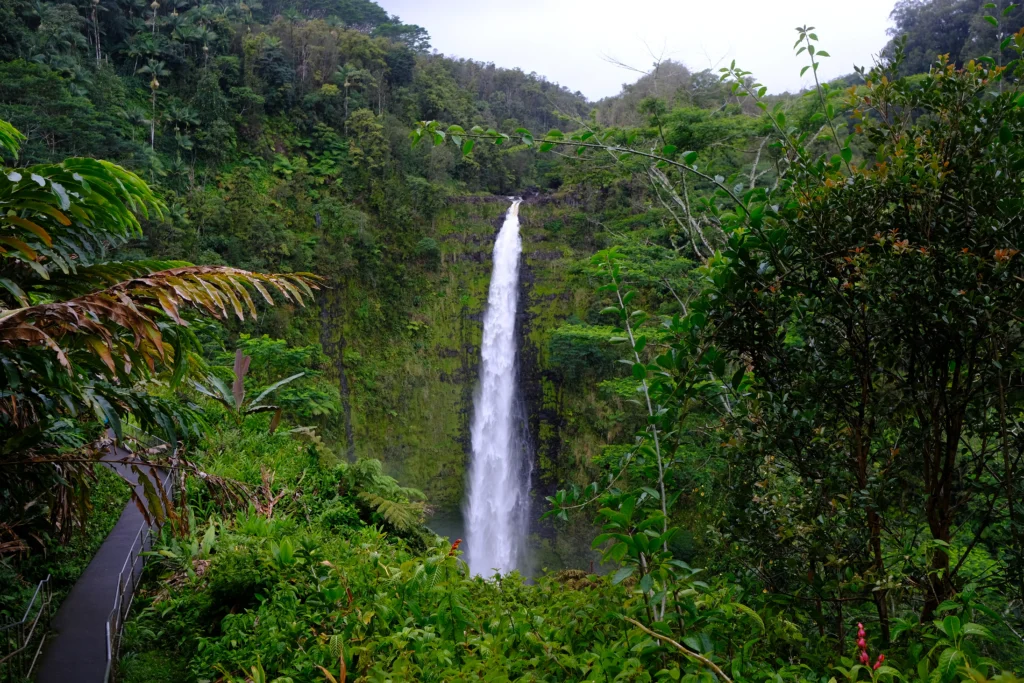 Akaka Falls, Big Island Hawaii