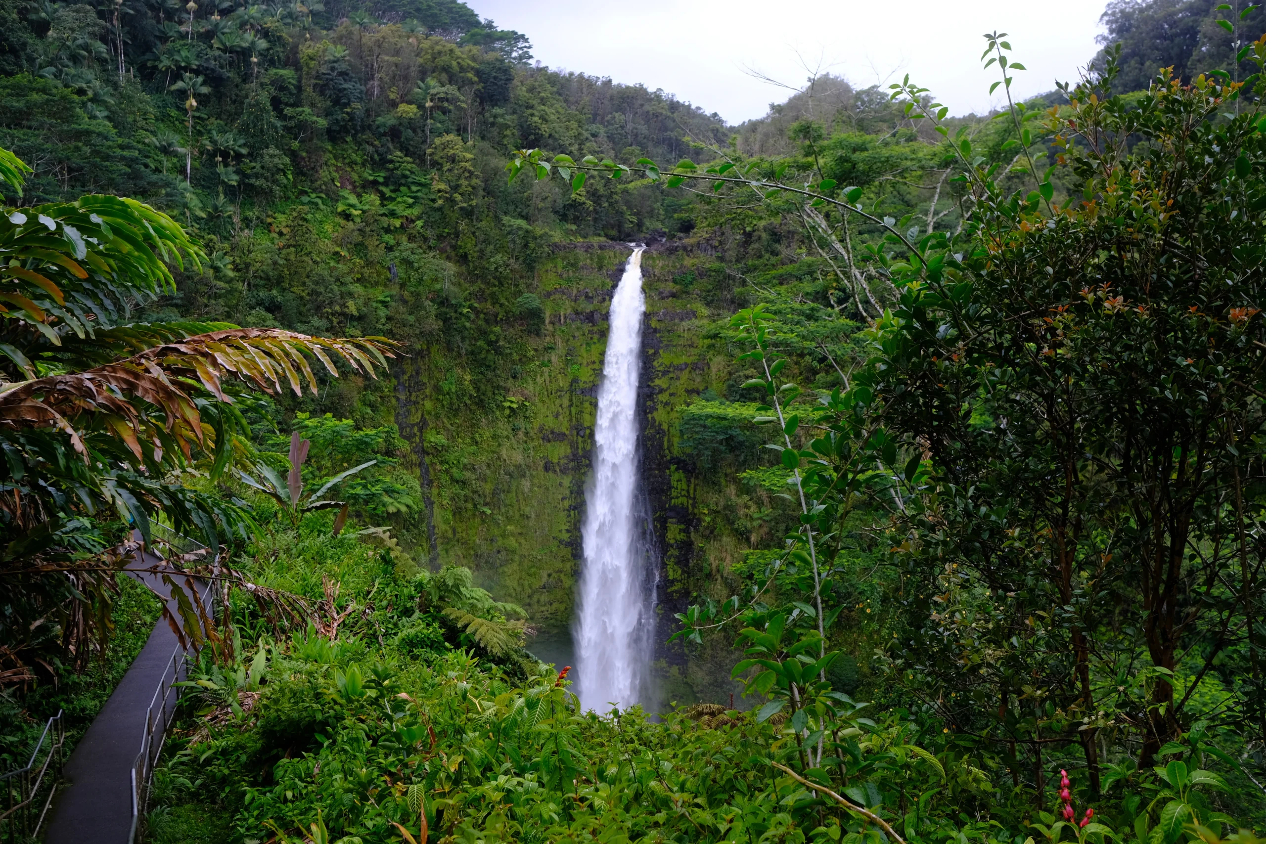 Akaka Falls, Big Island Hawaii