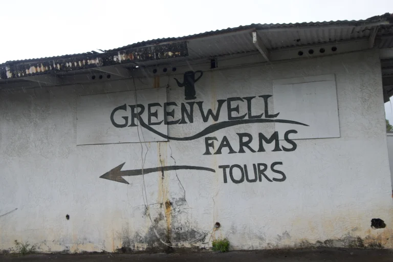 Greenwell Farms Kona
