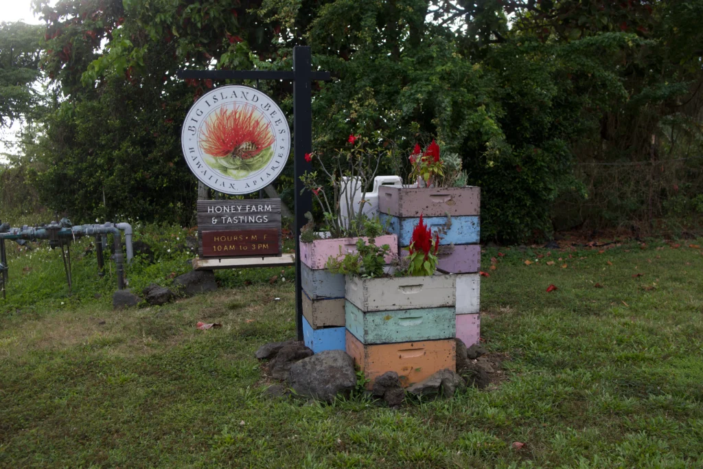 Big Island Bees Honey Farm in Kona