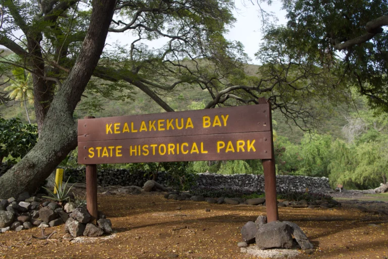 Kealakekua Bay State Historical Park (Napo'opo'o Beach)