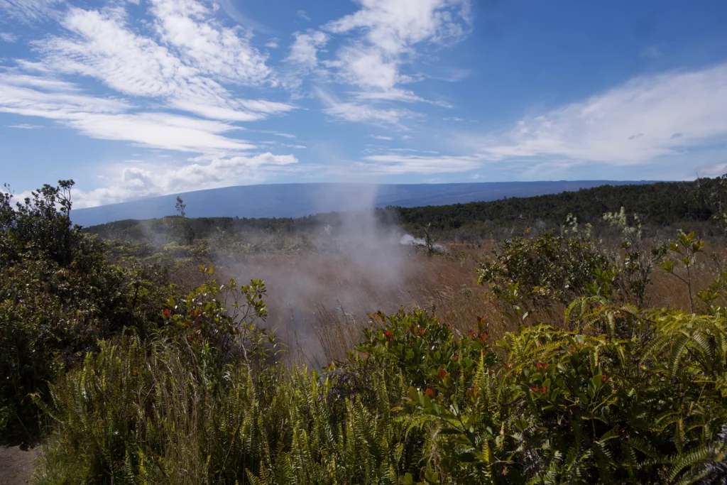 Sulphur Banks Trail, Hawaii Volcanoes National Park
