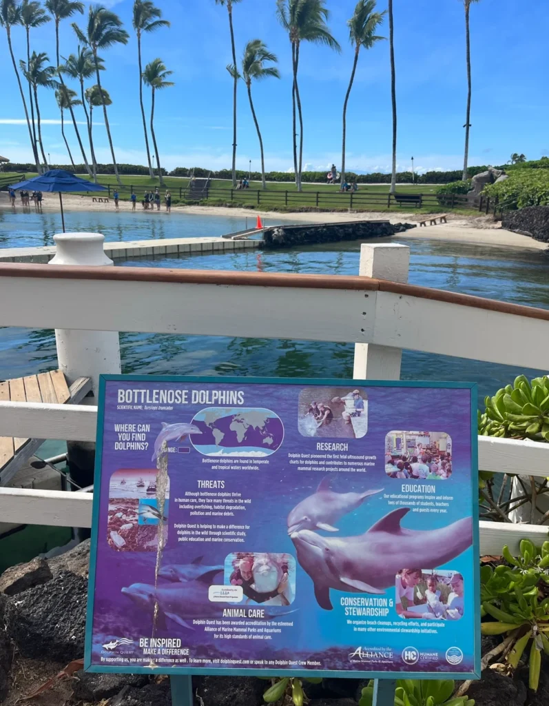 Dolphin Quest at Hilton Waikoloa Village