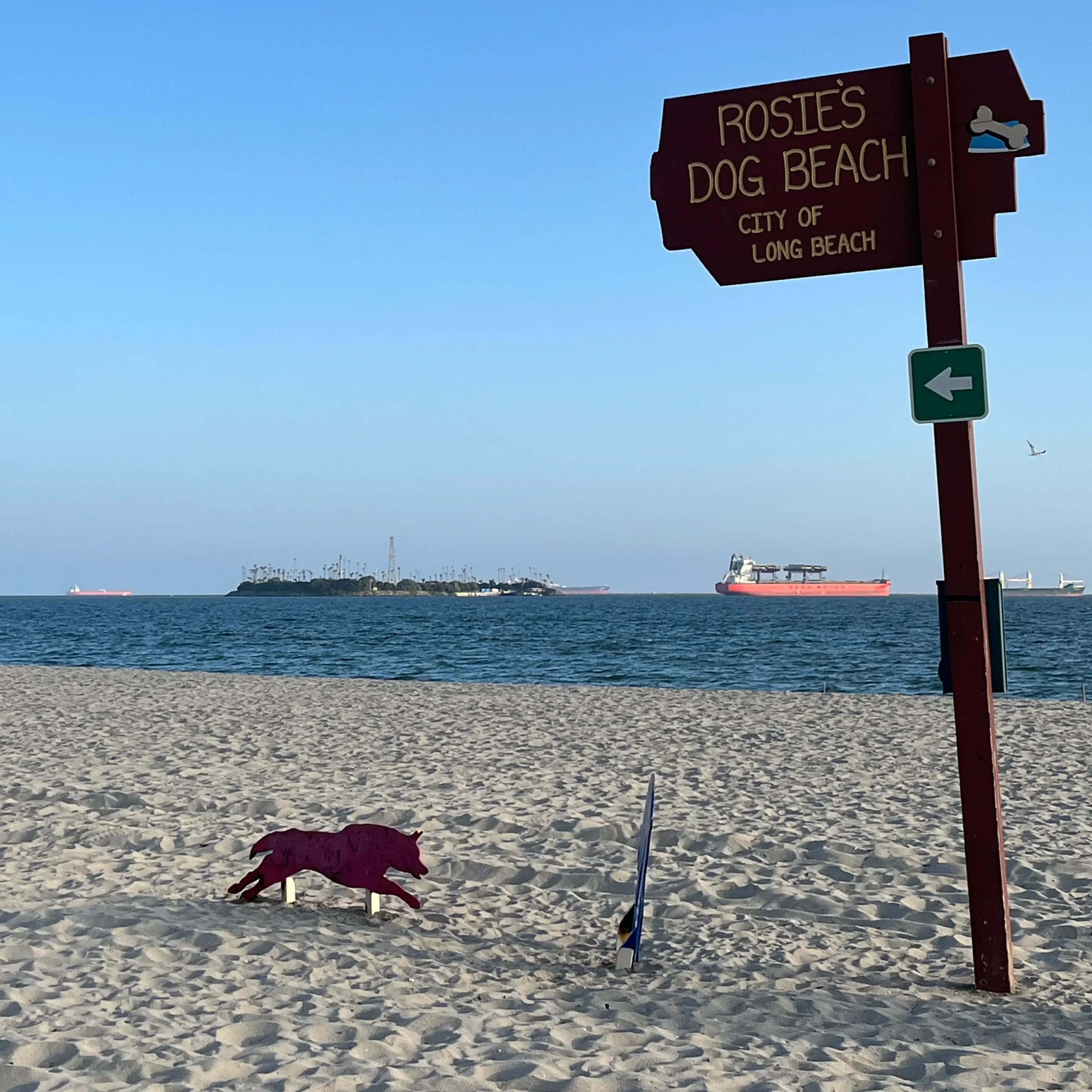 Rosie's Dog Beach, Long Beach CA