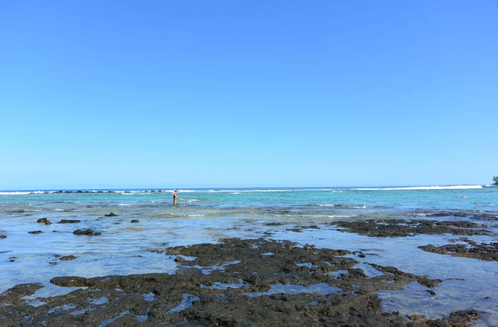 Tide pools at Kahaluʻu Beach Park
