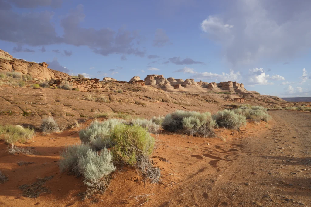 Beehive Trail, Page AZ