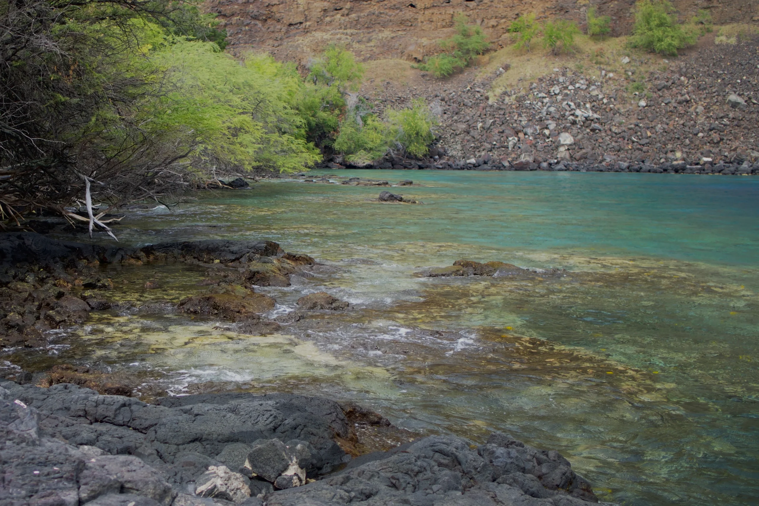 Kealakekua Bay