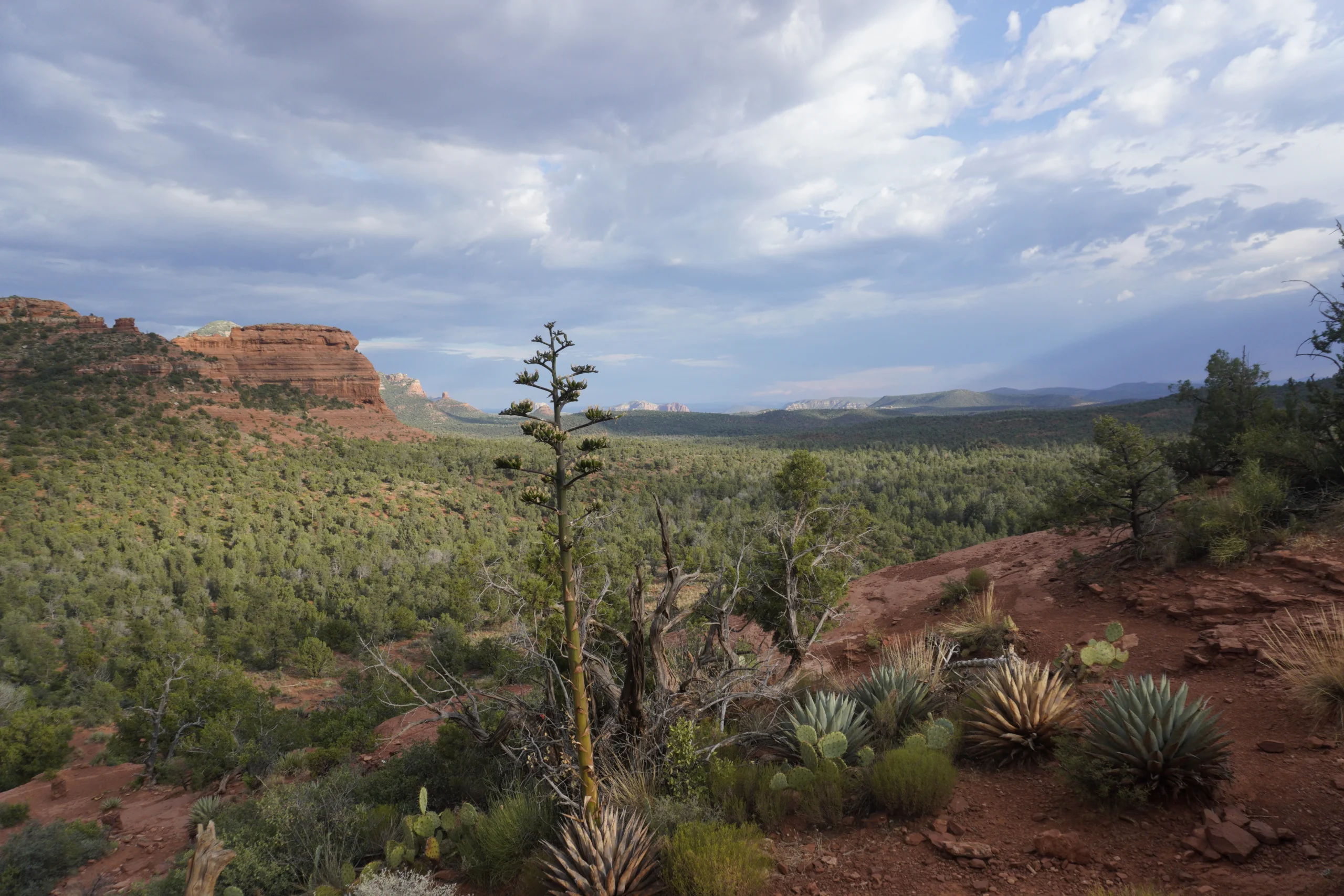 Boynton Canyon Vista, Sedona AZ