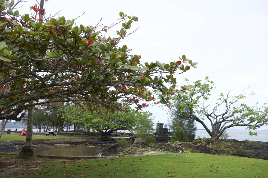 Children jumping off of water tower at Coconut Island