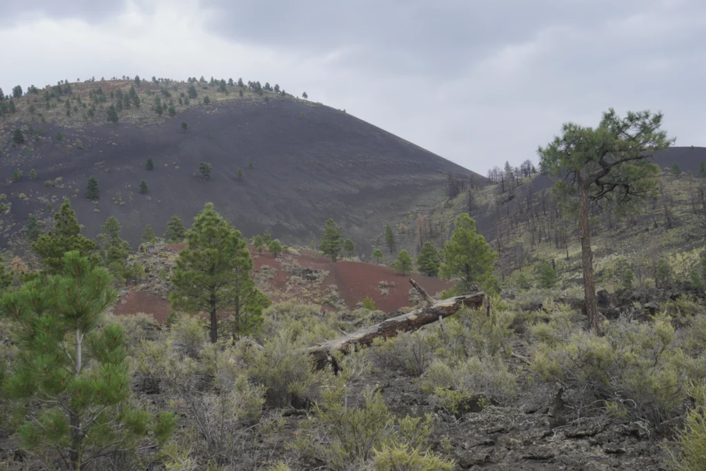 Sunset Crater Volcano, Flagstaff AZ