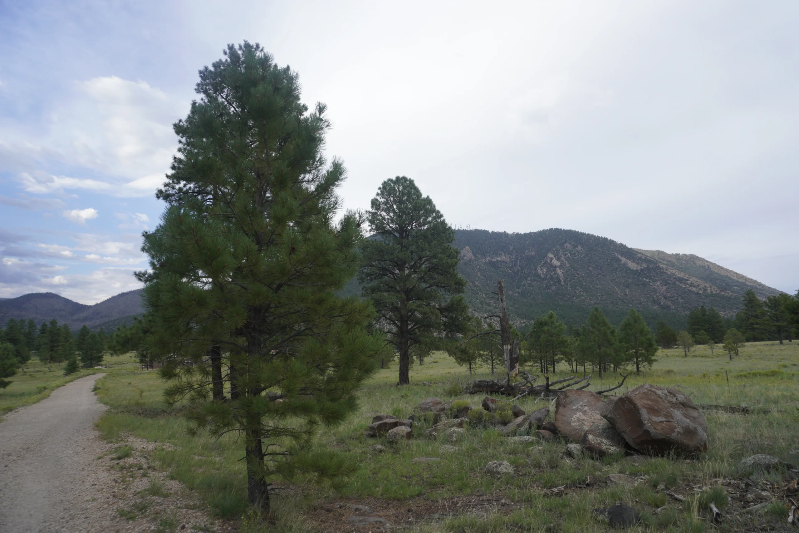 Buffalo Park, Flagstaff AZ