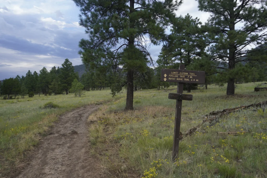 Buffalo Park, Flagstaff AZ