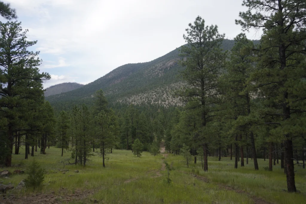 Buffalo Park, Flagstaff AZ