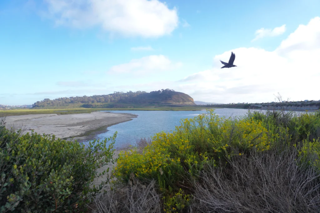 Torrey Pines State Natural Reserve, San Diego