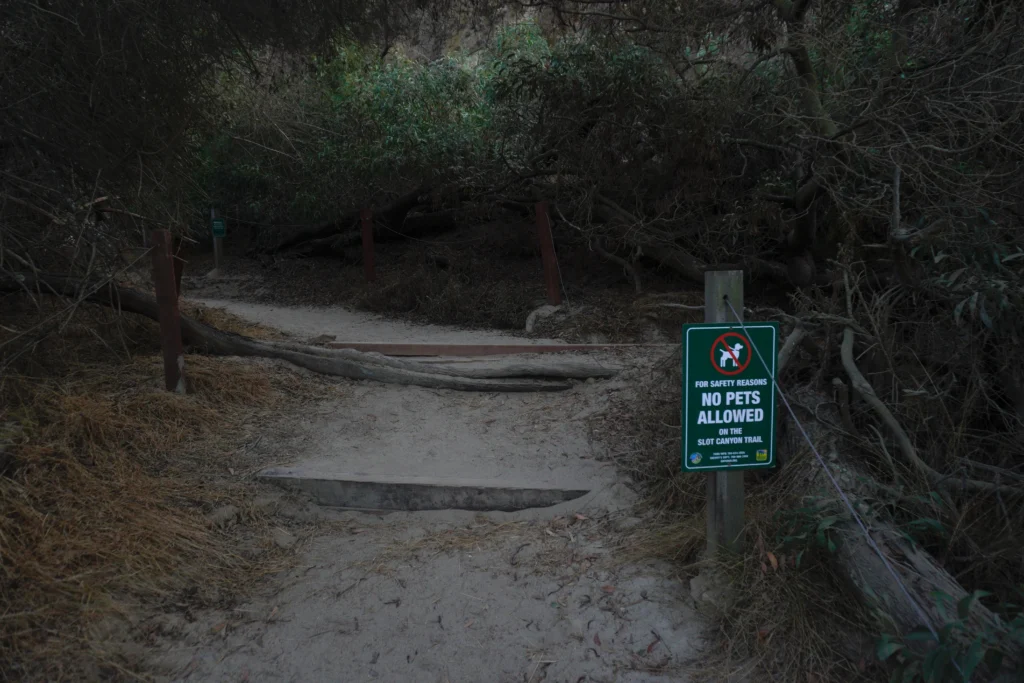 No pets allowed sign on Annie's Canyon Trail