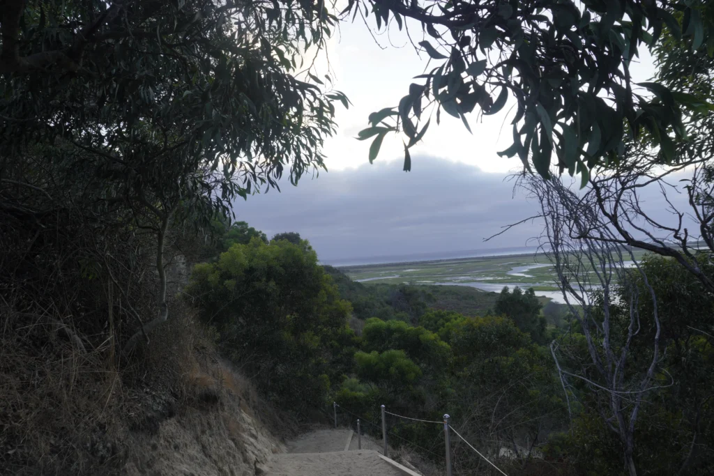 San Elijo Lagoon, Annie's Canyon Trail