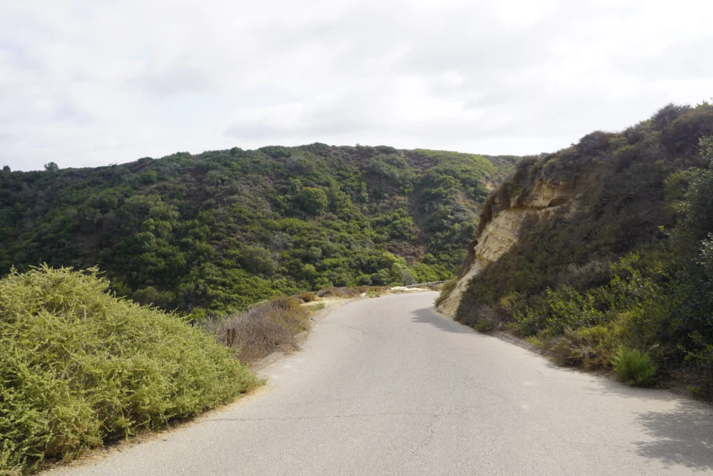 Black's Beach Trail, San Diego