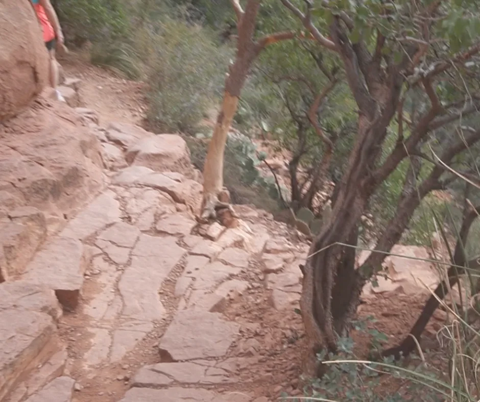 Cathedral Rock vortex hike