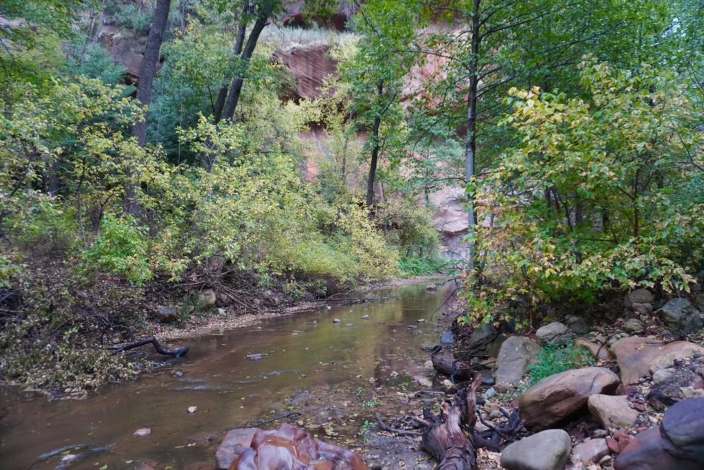 River crossing at West Fork Oak Creek Trail, Sedona AZ