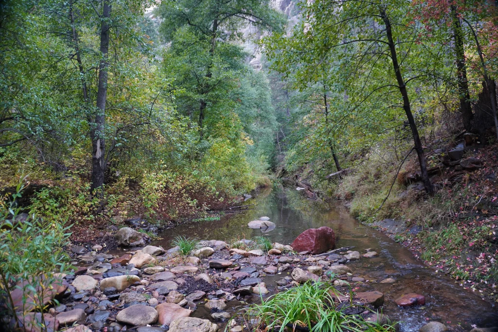 West Fork Trail