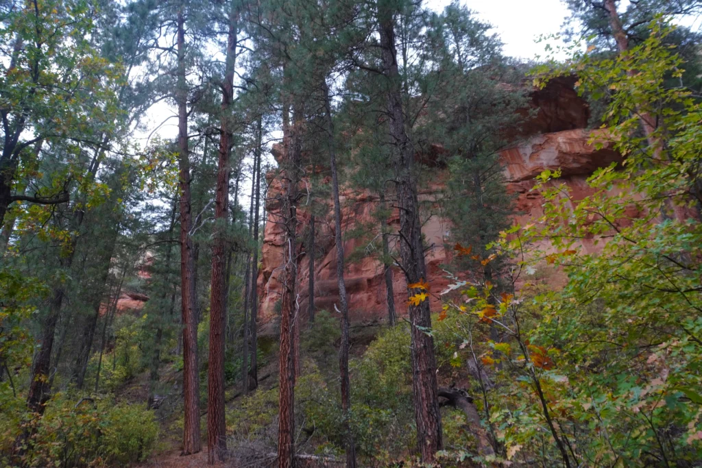 West Fork Oak Creek Trail, Sedona AZ