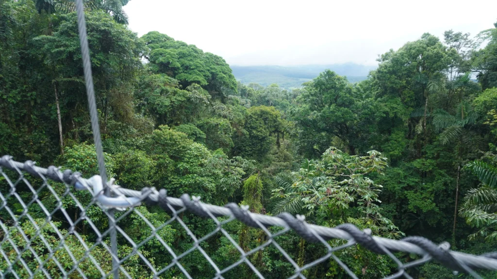 Mistico Park, La Fortuna