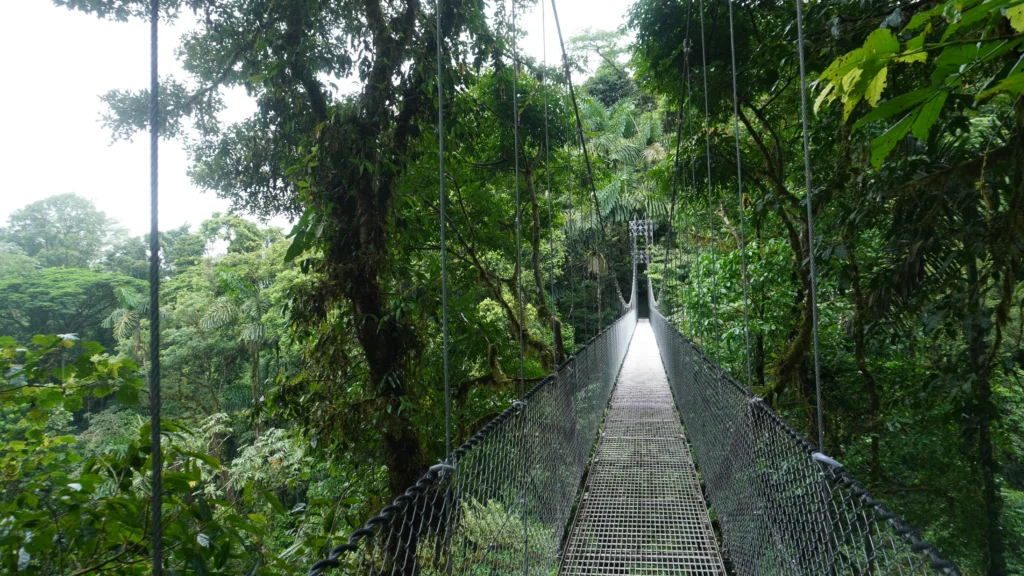 Mistico Arenal Hanging Bridges