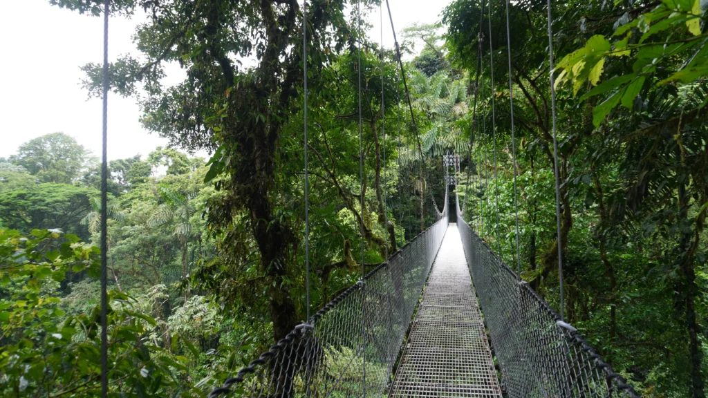 Mistico Hanging Bridges