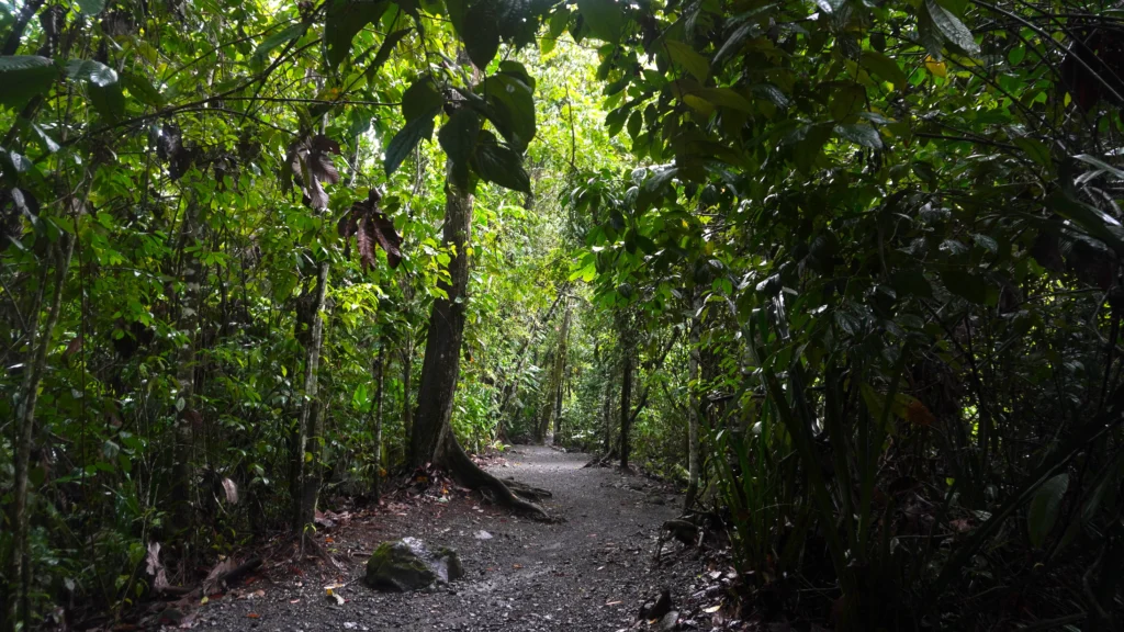 Bogarin Trail, La Fortuna