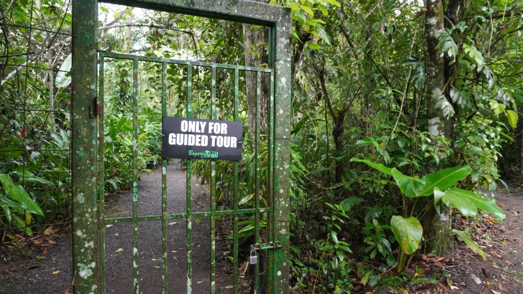 Bogarin Trail, La Fortuna