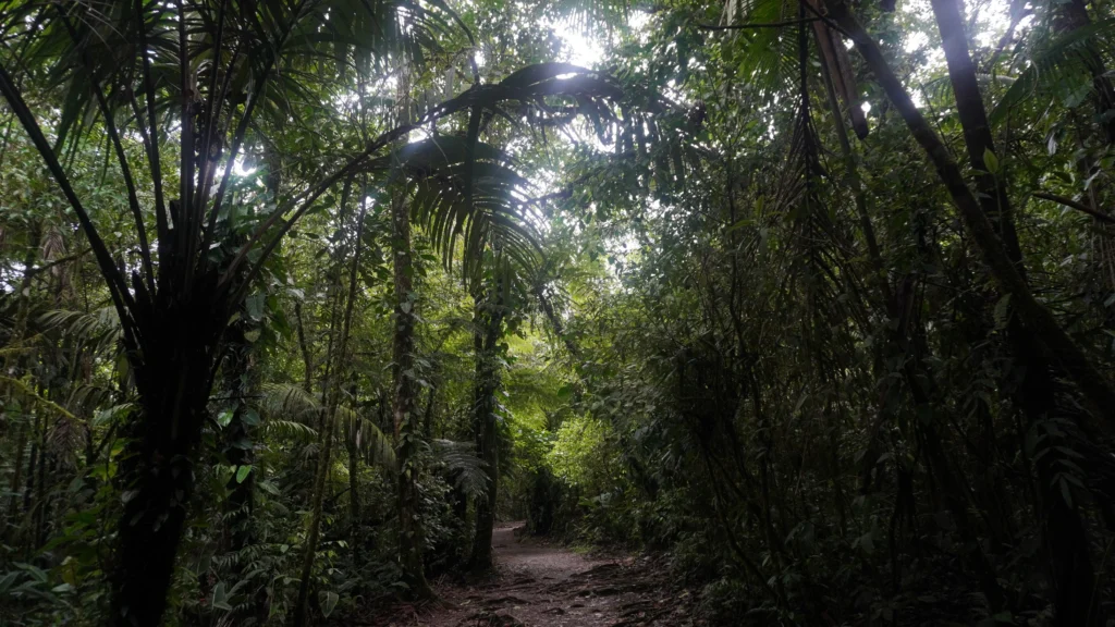 Bogarin Trail, La Fortuna