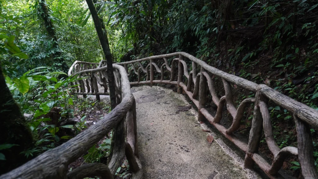 Stairs to Rio Celeste