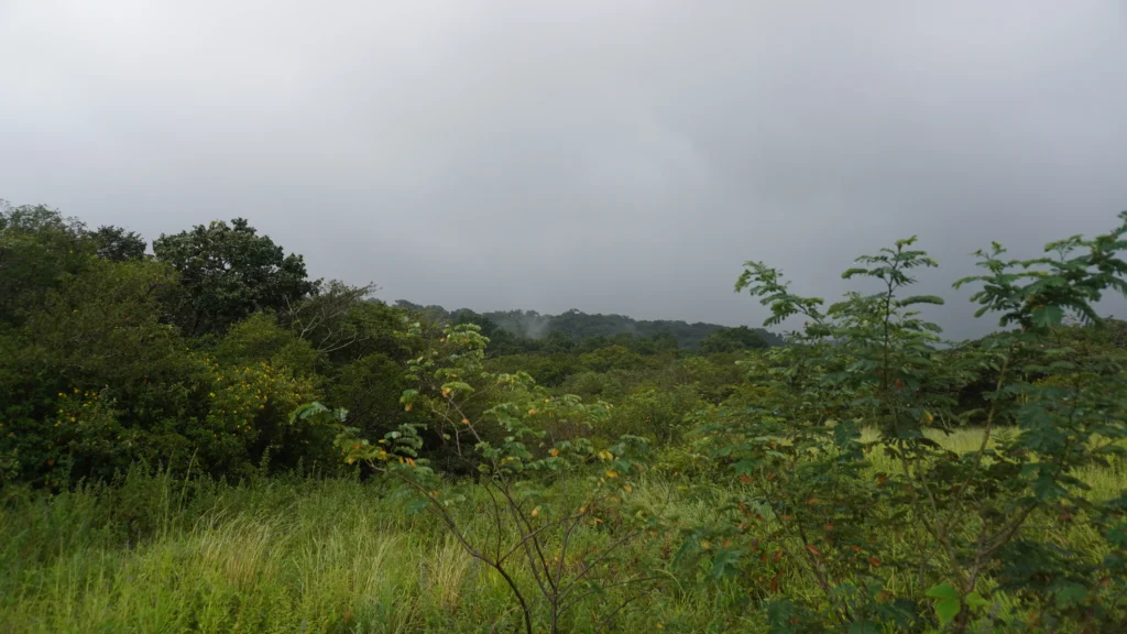 Rincón De La Vieja National Park