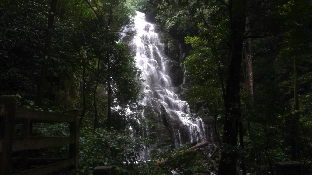 Escondida waterfall, Rincón De La Vieja National Park