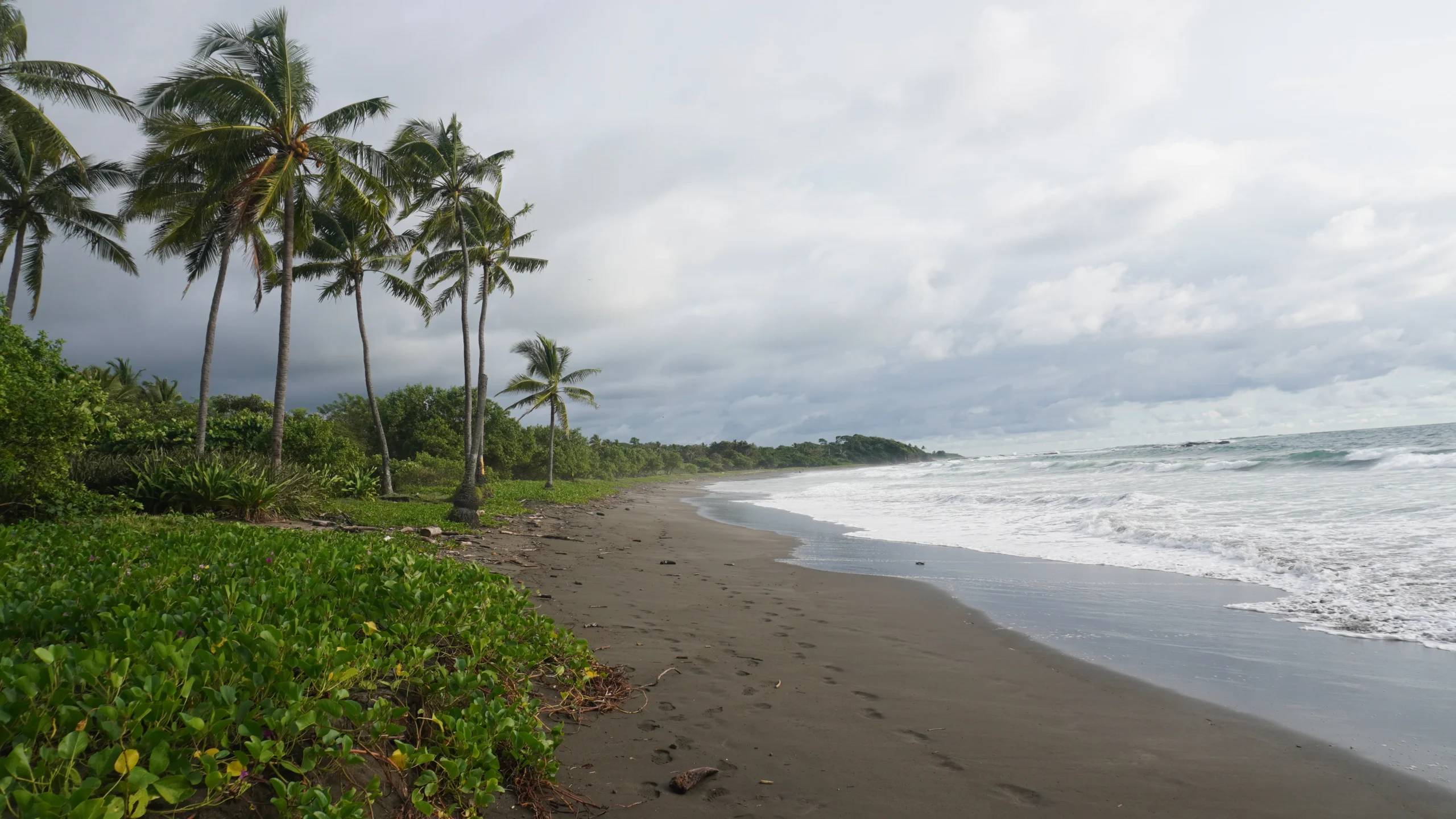 Playa Junquillal