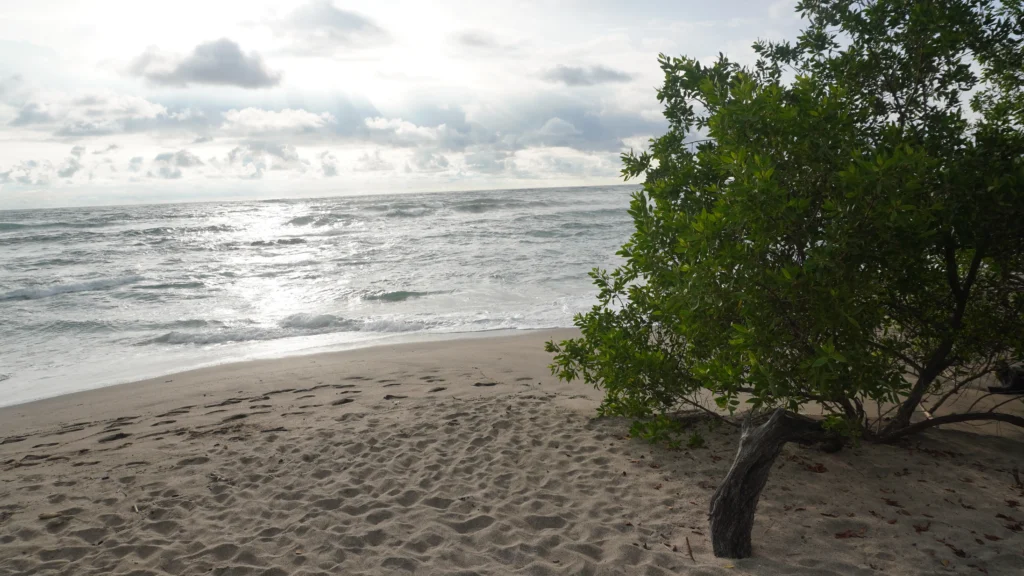 Playa Blanca, Guanacaste