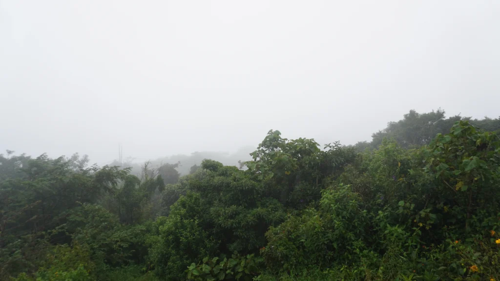 Monteverde Cloud Forest