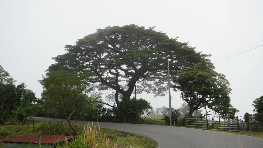 Monteverde Costa Rica