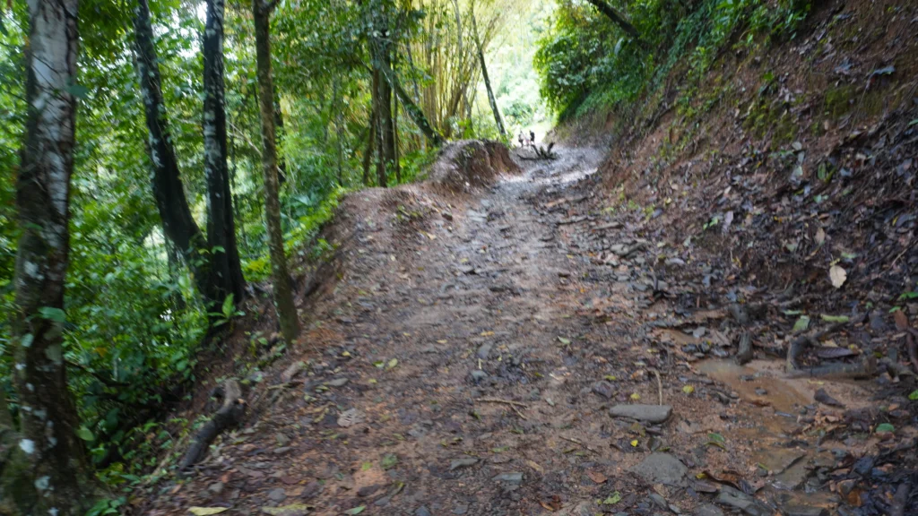 Nauyaca Waterfall Hike