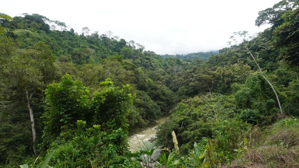 Nauyaca Waterfall Hike