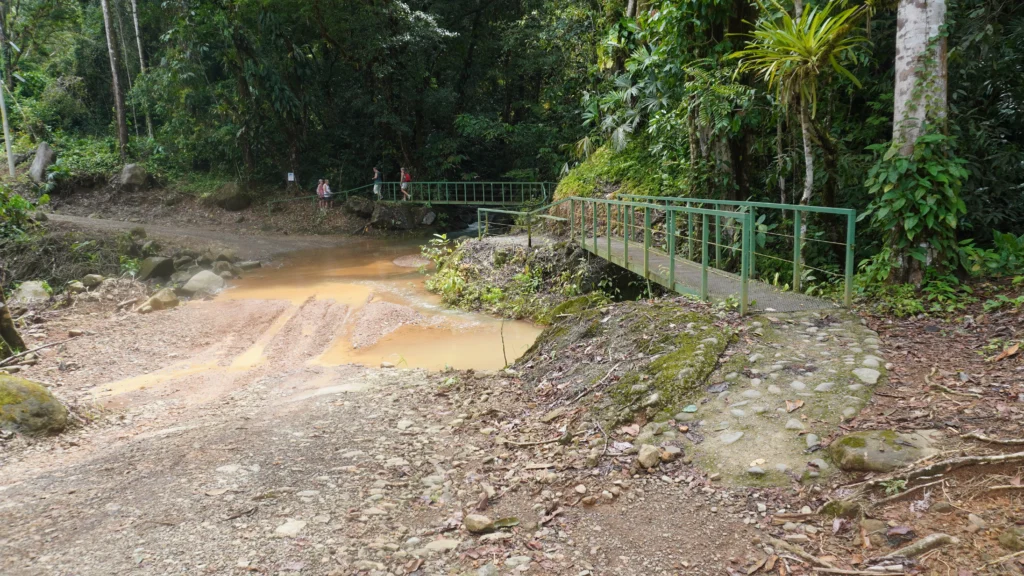 Nauyaca Waterfall Hike