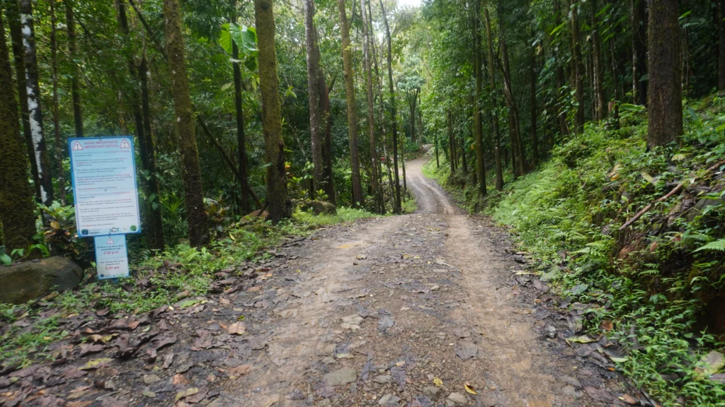 Nauyaca Waterfall Hike