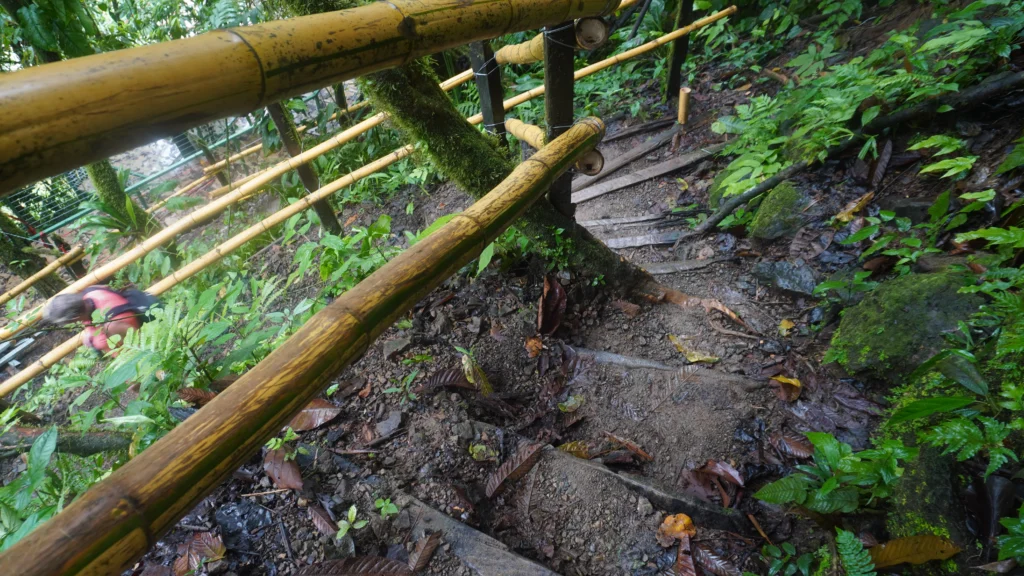 Stairs down to Nauyaca waterfall