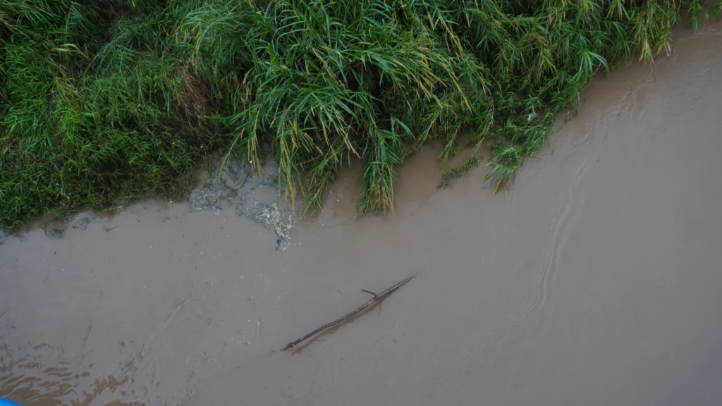 Crocodile Bridge (Tarcoles Bridge), Puntarenas