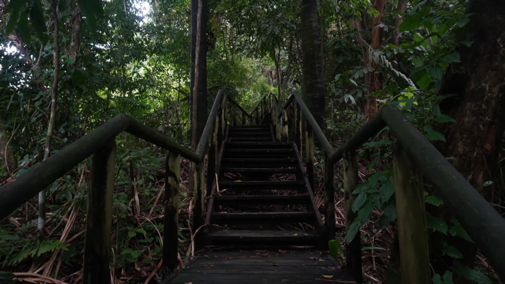 Mirador Trail, Manuel Antonio