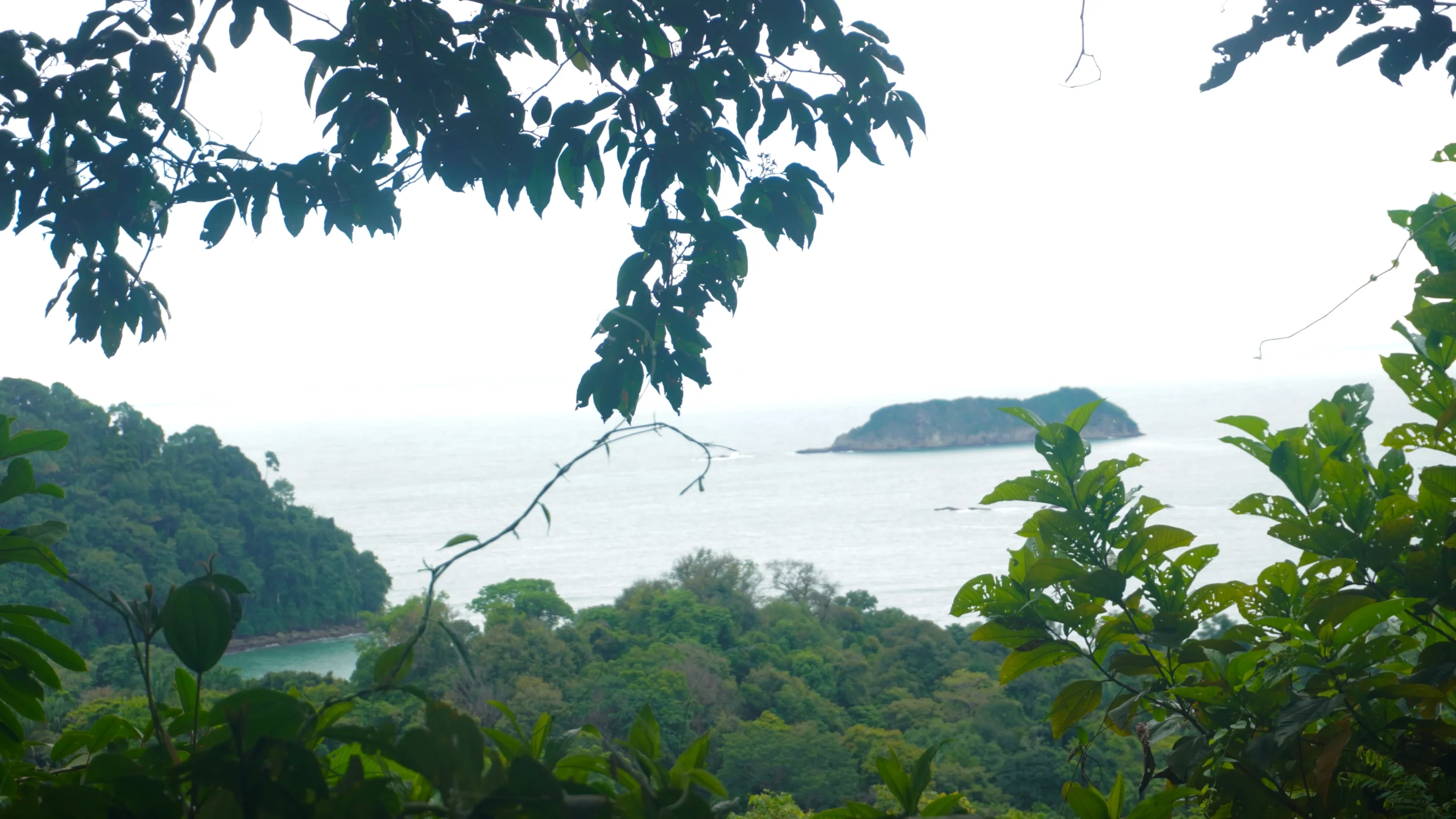 Mirador Trail, Manuel Antonio