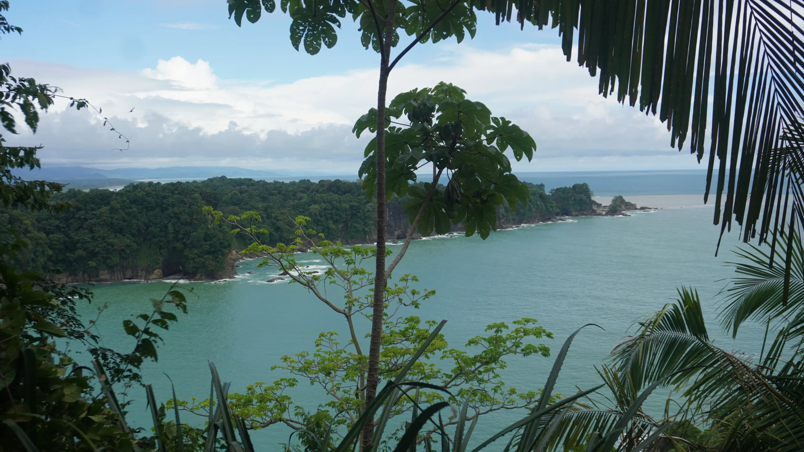 Punta Serrucho, Manuel Antonio National Park