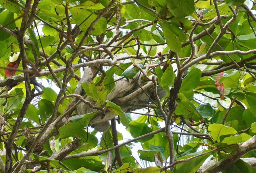 Manuel Antonio National Park, Quepos